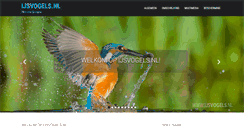 Desktop Screenshot of ijsvogels.nl